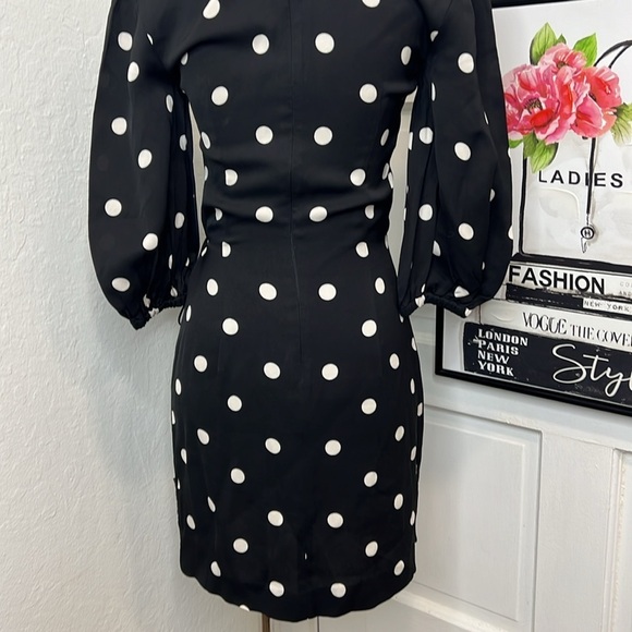 Rebecca Vallance Penelope BNW Polka Dot Mini Dress Size 0US - Picture 7 of 10